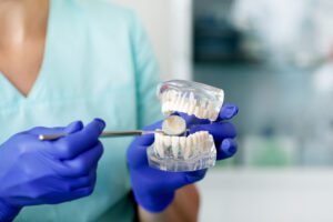 A dentist is holding a sample of jaw teeth in a dental office.